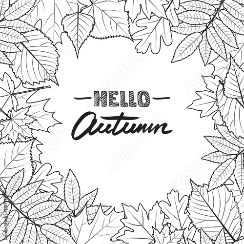 Vector square frame with hand drawn autumn leaves. Black and white fall