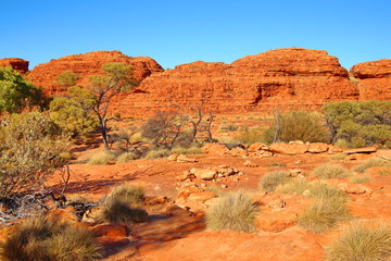 Sticker - Kings Canyon, Australia