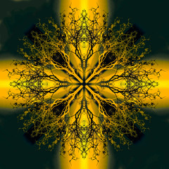 Fototapete - Beautiful ornamental mandala with tree pattern, symbol of life.