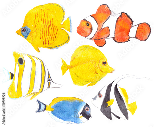 Watercolor Illustration Set Of Six Fishes Copperband