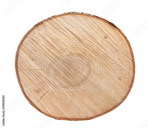 Foto  The texture of a slice of a birch isolated on white background