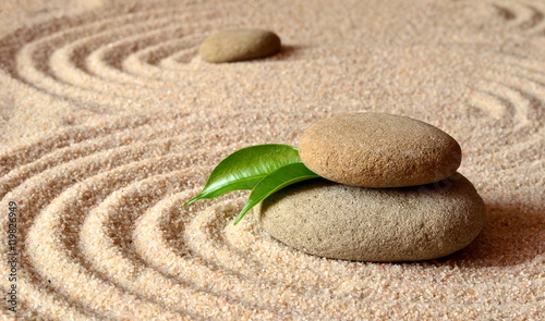 Plakat na zamówienie stones and green leaf on the sand with circles