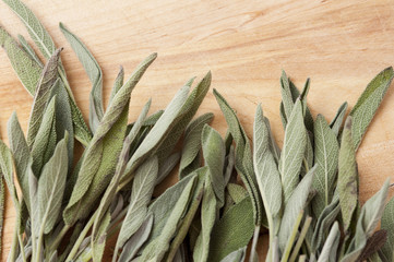 Closeup of fresh sage leaves