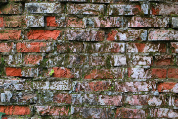 Canvas Print - old red brick wall