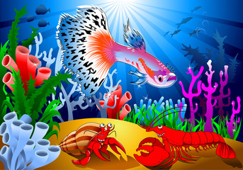 Wall Mural - guppy fish on the coral reef