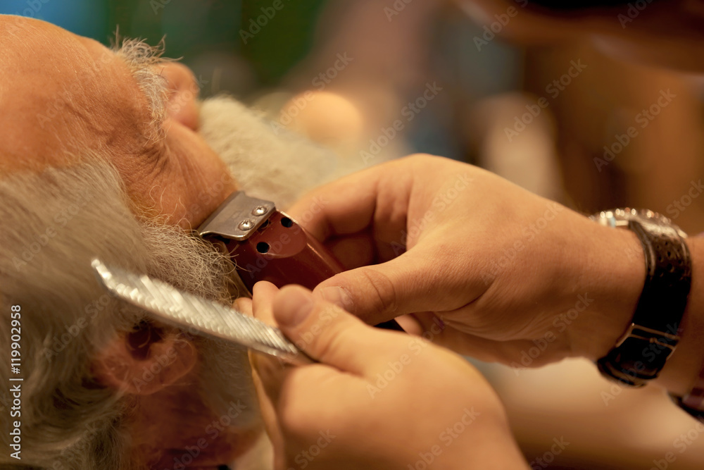 Elderly bearded man at barbershop
