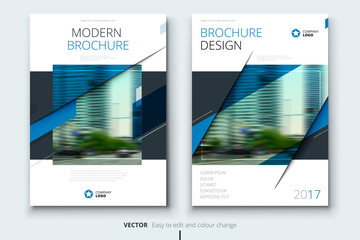 Wall Mural - cover design for annual report, catalog, magazine, brochure or booklet