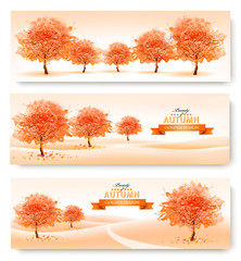 Poster - Three landscape autumn banners. Vector.