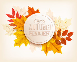 Autumn sales banner. Vector.