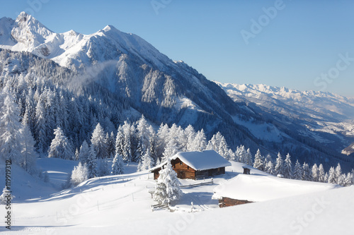 Foto-Kissen - Wintermärchen in den Alpen (von Olha Sydorenko)