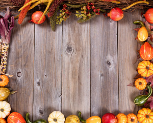 Wall Mural - Complete border of autumn gourd decorations for the seasonal holidays