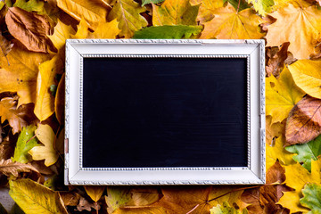 Wall Mural - autumn leaf composition with picture frame. copy space.