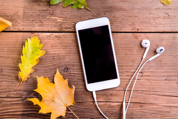 Wall Mural - autumn composition. colorful leaves, smart phone, earphones. stu