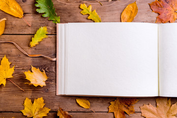 Wall Mural - autumn leaf composition, photo album. studio shot, wooden back
