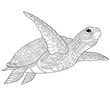 Stylized underwater turtle (tortoise). Freehand sketch for adult anti stress coloring book page with doodle and zentangle elements.