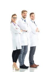 Wall Mural - healthcare and medical - professional  team or group of doctors