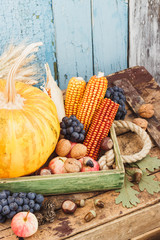 Thanksgiving day: Tray of different autumn vegetables