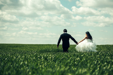 Wall Mural - wedding couple on green grass and blue sky