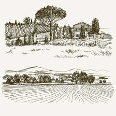 Sticker - Rural landscape with country house and vineyard.