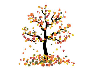 vector illustration autumn tree with falling leaves on a white background