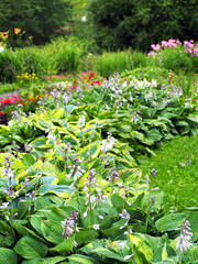 Landscaped garden after rain