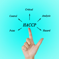 Wall Mural - The meaning of HACCP concept (Hazard Analysis of Critical Control point) for business and use in manufacturing.