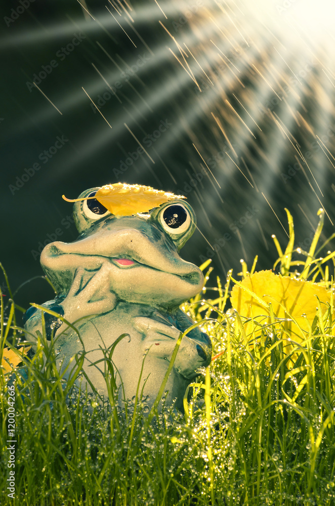 Fototapete Dekorationsfigur Frosch Wetterfrosch Im Herbst Im Sonnenlicht Im  Garten Wie Wird Das Wetter August-Goldengel