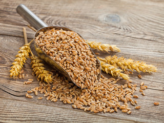 Wall Mural - Wheat grains and ears in the scoop on board