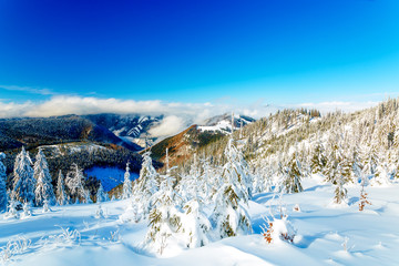 Beautiful mountain snowy landscape and snow covered trees. Beautiful sunny day in the mountains.