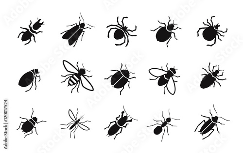 Fotografía Pests and various insects set vector icons