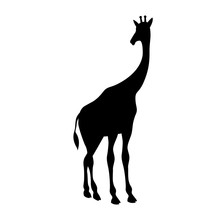 Giraffe Black Silhouette Vector Illustration Isolated