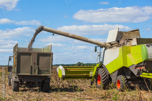 Fotografie, Obraz Combine harvester overloads sunflower seeds in a tractor trailer on the field, during the autumn harvest