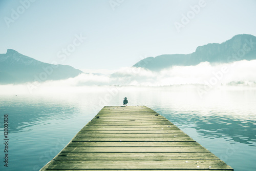pier-with-seagull-by-mondsee-in-austria