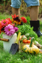 Wall Mural - autumn arrangement