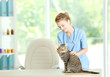 © Africa Studio - Veterinarian doctor checking cat at a vet clinic
