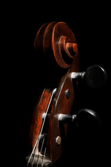 Poster - Part of musical string instrument, closeup