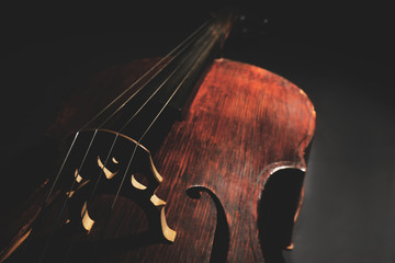 Poster - Part of musical string instrument, closeup