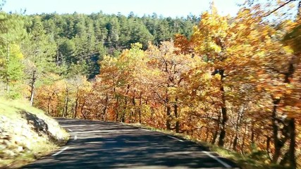 Wall Mural - Route touristique en automne