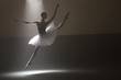 © Andriy Bezuglov - Ballerina in the white tutu