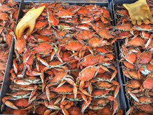 Crabs At Market