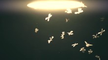Close-up Of An Old Street Lamp With Mosquitoes And Moths At Night. Slow Motion