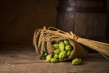 Beer Brewing Ingredients Hop In Bag And Wheat Ears On Wooden Cracked Old Table. Beer Brewery Concept. Hop Cones And Wheat Closeup. Sack Of Hops And Sheaf Of Wheat On Vintage Background.