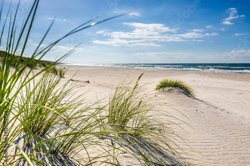 Obraz w ramie Mrzeżyno, plaża piaszczysta