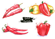Hand-drawn Watercolor Illustration Of The Different Peppers - Chili Pepper And Sweet Red And Yellow Pepper. Drawing Isolated On The White Background. Splash Vegetables