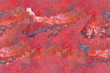 macro of dark red jasper seamless background