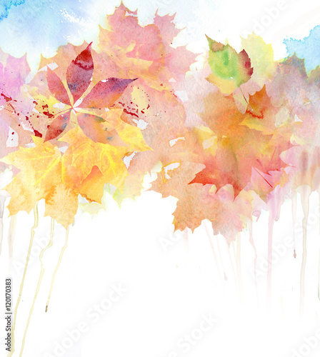 watercolor autumn background buy