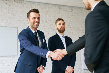 Wall Mural - Businessmen shaking hands after successful negotiation