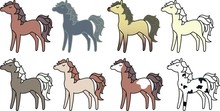 Verschillende Kleuren Paarden