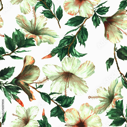 Materiał do szycia Ręcznie rysowane akwarela kwiatowy wzór z przetargu biały hibiscus kwiaty na białym tle w stylu vintage. Naturalne tropikalnych i żywe powtarzające się wydruku dla przemysłu włókienniczego, tapeta itp