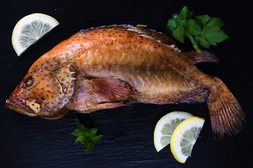 Wall Mural - Baked coral grouper fish with lemon and green celery on dark wet